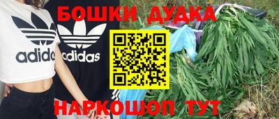 ПСИЛОЦИБИНОВЫЕ ГРИБЫ Тара