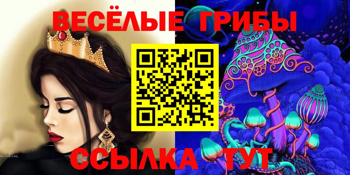 Псилоцибиновые грибы Psilocybine cubensis Новосибирск