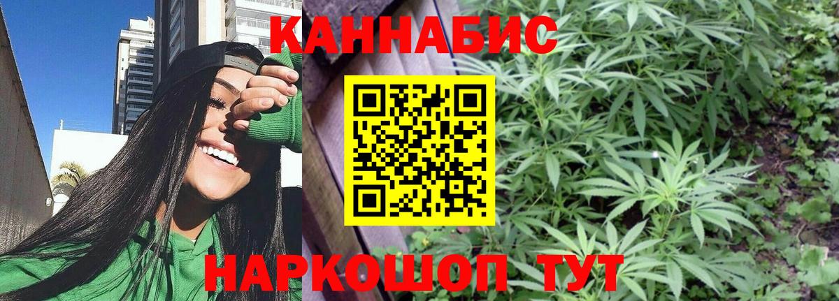 Новосибирск  Бошки марихуана сатива  Конопля план  МАРИХУАНА конопля  Вход с VPN 